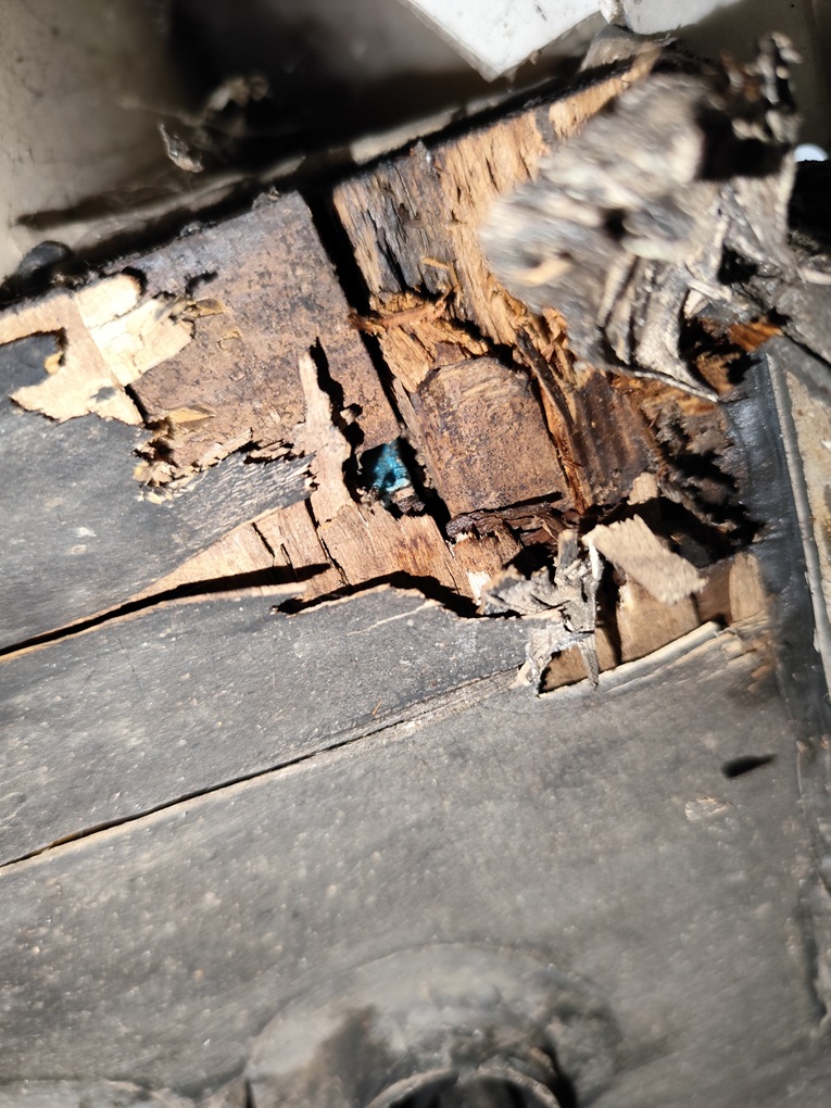Plancher marqué par une infiltration